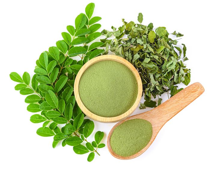 Moringa-leaves-Powder Ceylon production