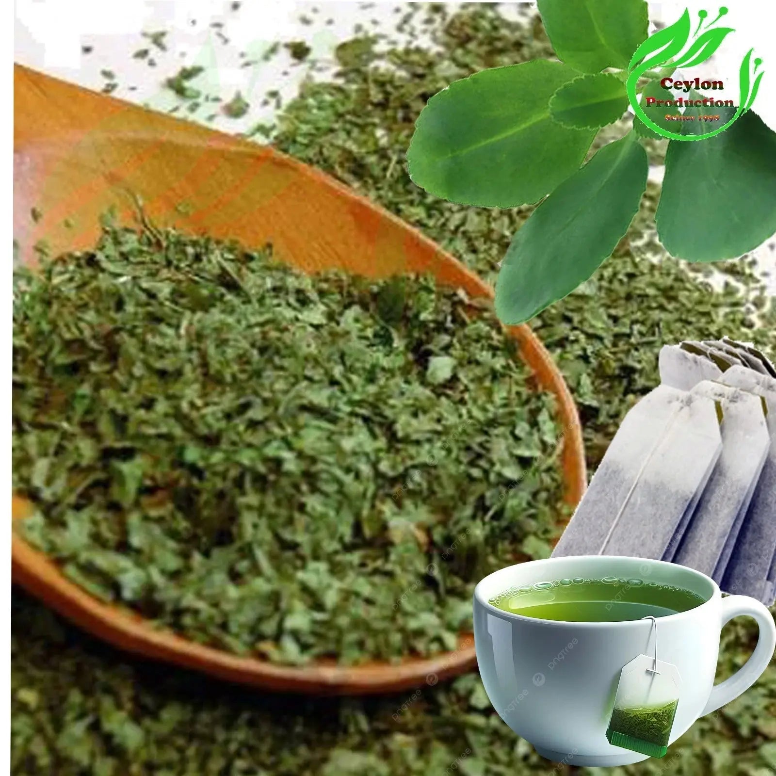 Kalanchoe pinnata Leaves Tea Bag Dried Organic Miracle Leaf Air Plant