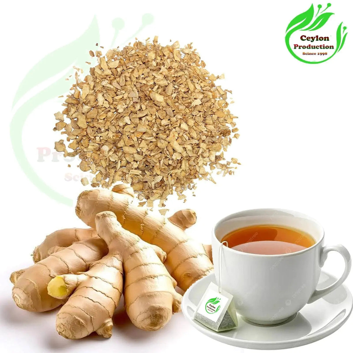 Ginger Herbal Tea Bags Natural Wellness Drink Organic healthy Zingiber officinal