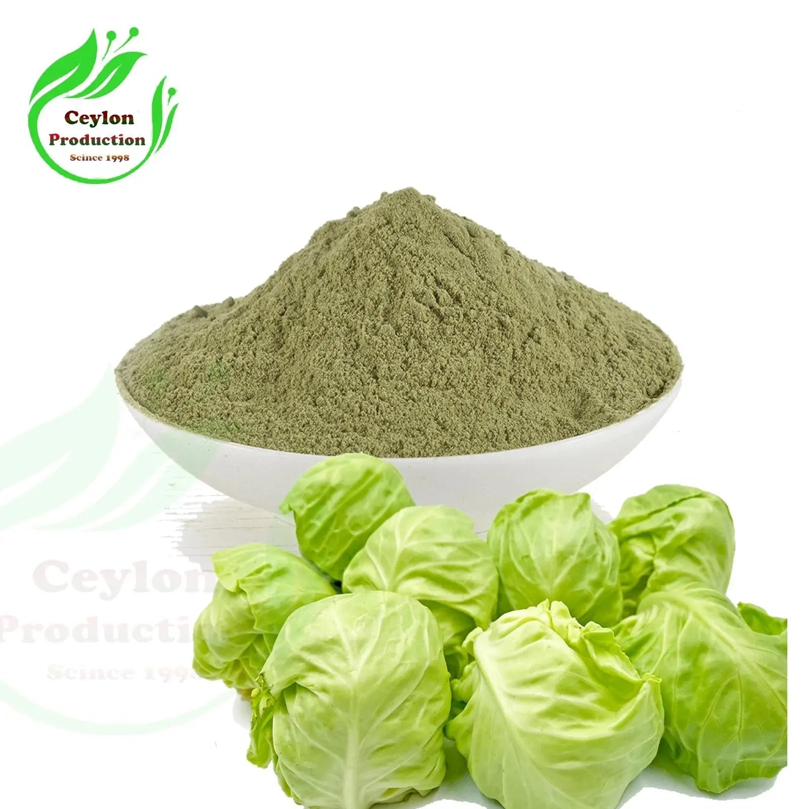 Green Cabbage Powder Dried Organic Brassica oleracea best for soup mix vegetable